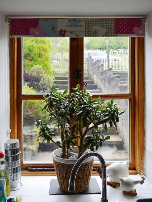 Foresters Inn Cottage Parkend المظهر الخارجي الصورة